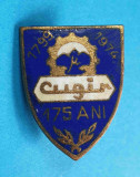 Insigna Realizari din Epoca de Aur Intreprinderea de armament CUGIR 1799-1974