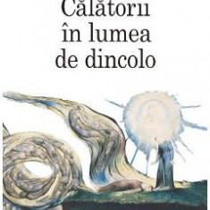 Calatorii in lumea de dincolo - Ioan Petru Culianu