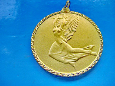 9749-Medalia Premiu-Casa di Risparmio- Economii Torino alama aurita stare FB. foto