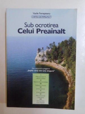 SUB OCROTIREA CELUI PREAINALT de VASILE FERESTEANU 2007 foto