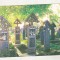 bnk cp Maramures - Cimitirul vesel de la Sapanta - circulata