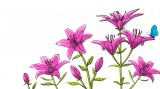 Sticker decorativ, Crin, 150 cm, 397STK-2, natura si peisaje