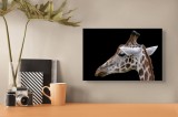 Tablou Canvas, "Ghepardul cerului &icirc;nstelat african", Girafă, Pată, Negru, Urechi, G&acirc;t, Blană, Pete., 39 x 26 cm, CMCLASS