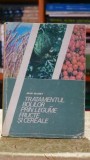 Tratamentul bolilor prin legume fructe cereale - Jean Valnet, Editura Ceres, An 1987, Editie Veche