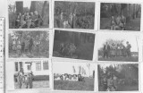 Bnk foto Bucuresti - lot 9 fotografii - 1945 - Foto Mircea, Alb-Negru, Romania de la 1950, Natura