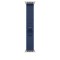 APPLE WATCH 49 BL/BRT BL N TI TL M/L-ZML