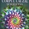 Corpul cauzal