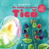Un balon pe nume Tica. Cu activitati pentru dezvoltarea limbajului de la Oana Moraru - Olina Ortiz, Doina Zavadschi