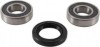 Kit Rulmenti + Simering Masina de Spalat Hoover - Compatibil Diverse Modele