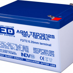 Acumulator AGM VRLA 12V 12.5Ah plumb acid 151x98x95 mm F2 terminal TED Battery Expert Holland