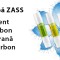 Set filtre apa Zass (4 filtre) pentru modelul de dozator ZWD 05 WF, ZWD 06 WF, ZWD 07 WF si ZWD 08 WF ProDesign DailyAppliances
