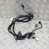 Cablaj ușă dreapta spate TESLA MODEL 3 2019 OEM: 3067966-00-A 13776211