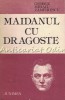 Maidanul Cu Dragoste - Gheorghe Mihail Zamfirescu, Roman, Junimea Iasi 1986, 415 pagini