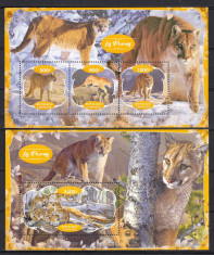 Gabon 2020 - Feline - PUMA - BL + KB - MNH foto