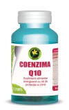 COENZIMA Q10 100mg 60cps HYPERICUM, HYPERICUM IMPEX