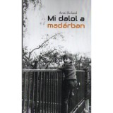 Mi dalol a mad&aacute;rban - Acsai Roland