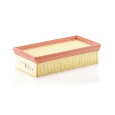 Filtru aer Mann-Filter C24026 foto