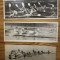 Lot 3 foto Paul Romoșan, caiac canoe, 24x 10 fiecare, sport performanță