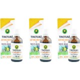 Pachet Tinctura Antihelmintica cu Nuca Neagra 3x50ml