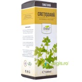 Tinctura Cretisoara 200ml