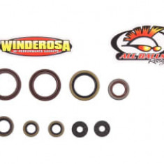 Set garnituri motor compatibil: KTM EXC, EXC-R, XCR-W, XC-W 400/450/530 2008-2011