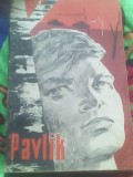 Pavlik-Iuri Naghibin