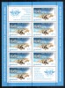 Romania 2010, LP 1859 c, OACI 65 de ani, Aviatie Civila, minicoala de 8+1, MNH! RARA!!!, Organizatii internationale, Nestampilat