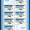 Romania 2010, LP 1859 c, OACI 65 de ani, Aviatie Civila, minicoala de 8+1, MNH! RARA!!!