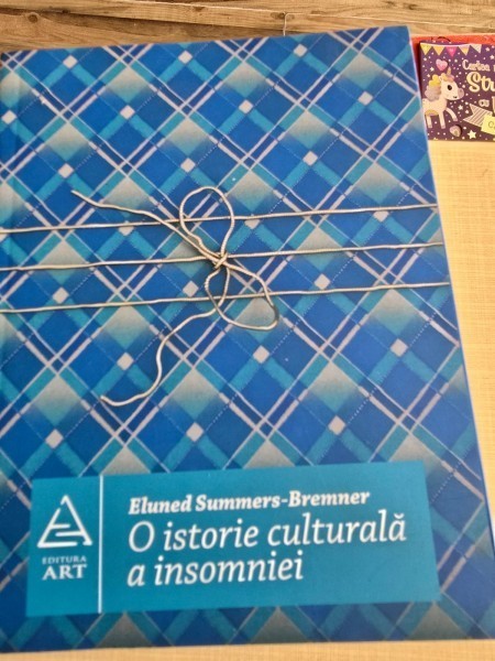 O istorie culturala a insomniei - Eluned Summers-Bremner
