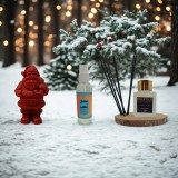 Cumpara ieftin Rasfat de Iarna , Set Cadou de Craciun cu Lumanare din Ceara de Soia E i Golden Caramel
