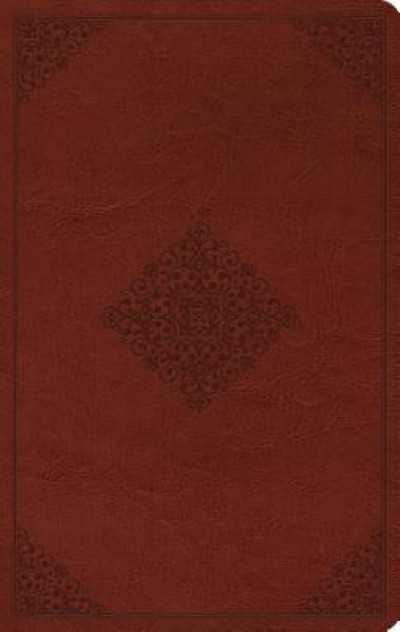 Large Print Value Thinline Bible-ESV-Ornament Design