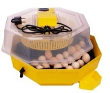 Incubator electric cu cheita si temometru CLEO 5DT