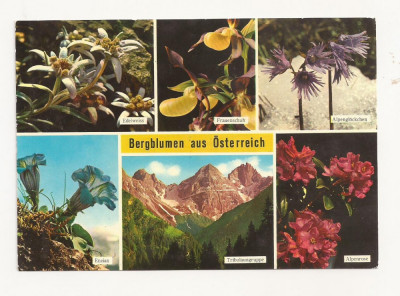 AT3 -Carte Postala-AUSTRIA- Bergblumen, necirculata foto