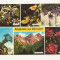 AT3 -Carte Postala-AUSTRIA- Bergblumen, necirculata