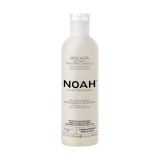 Masca naturala Anti-Yellow cu extract de afine, 2.6, Noah, 250 ml