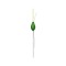 PLUTA COLMIC MENTA-PISA GR 1.00