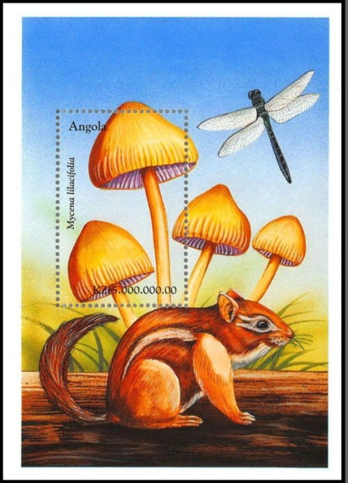 ANGOLA 1999 CIUPERCI SI LIBELULE
