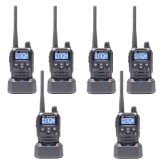 Kit 6 statii radio portabile PNI PMR R45 PRO 446MHz, 0.5W, 99 canale programabile, 16 PMR si tonuri 38 CTCSS si 104 DCS, Squelch