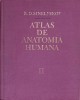 Atlas Anatomia Humana Vol. II, R.D. Sinelnikov, 1978, Mir, Spaniola, Hardcover, Medicina
