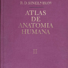 ATLAS DE ANATOMIA HUMANA VOL.II-R.D. SINELNIKOV