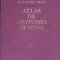 ATLAS DE ANATOMIA HUMANA VOL.II-R.D. SINELNIKOV-217339