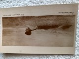 carte postala pictura Pe creasta dealului , pictor Nicolae Grigorescu .