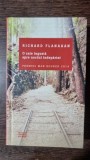 O cale ingusta spre nordul indepartat - Richard Flanagan