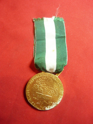 Medalie De Onoare Oficiala - Comunala Franta , bronz aurit ,d=4,2cm foto