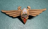 Insigna Tehnic Cl 1 aviatie militara 1966 1977 RSR