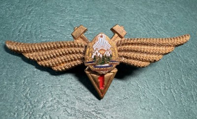 Insigna Tehnic Cl 1 aviatie militara 1966 1977 RSR foto