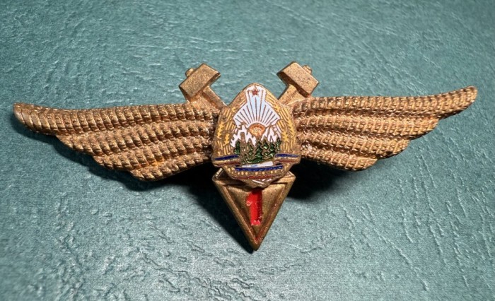 Insigna Tehnic Cl 1 aviatie militara 1966 1977 RSR