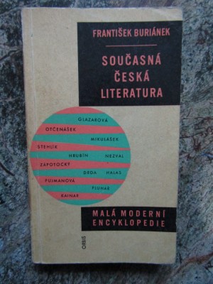 Současn&amp;aacute; česk&amp;aacute; literatura -Franti&amp;scaron;ek Buri&amp;aacute;nek - LIMBA CEHA foto