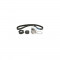 Set pompa apa + curea dintata PEUGEOT 206 hatchback 2A C DAYCO KTBWP4170