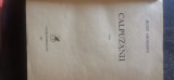 Silviu Angelescu - Calpuzanii (roman)